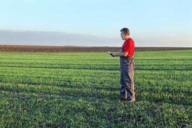 Impacto del secuestro de carbono en agricultura