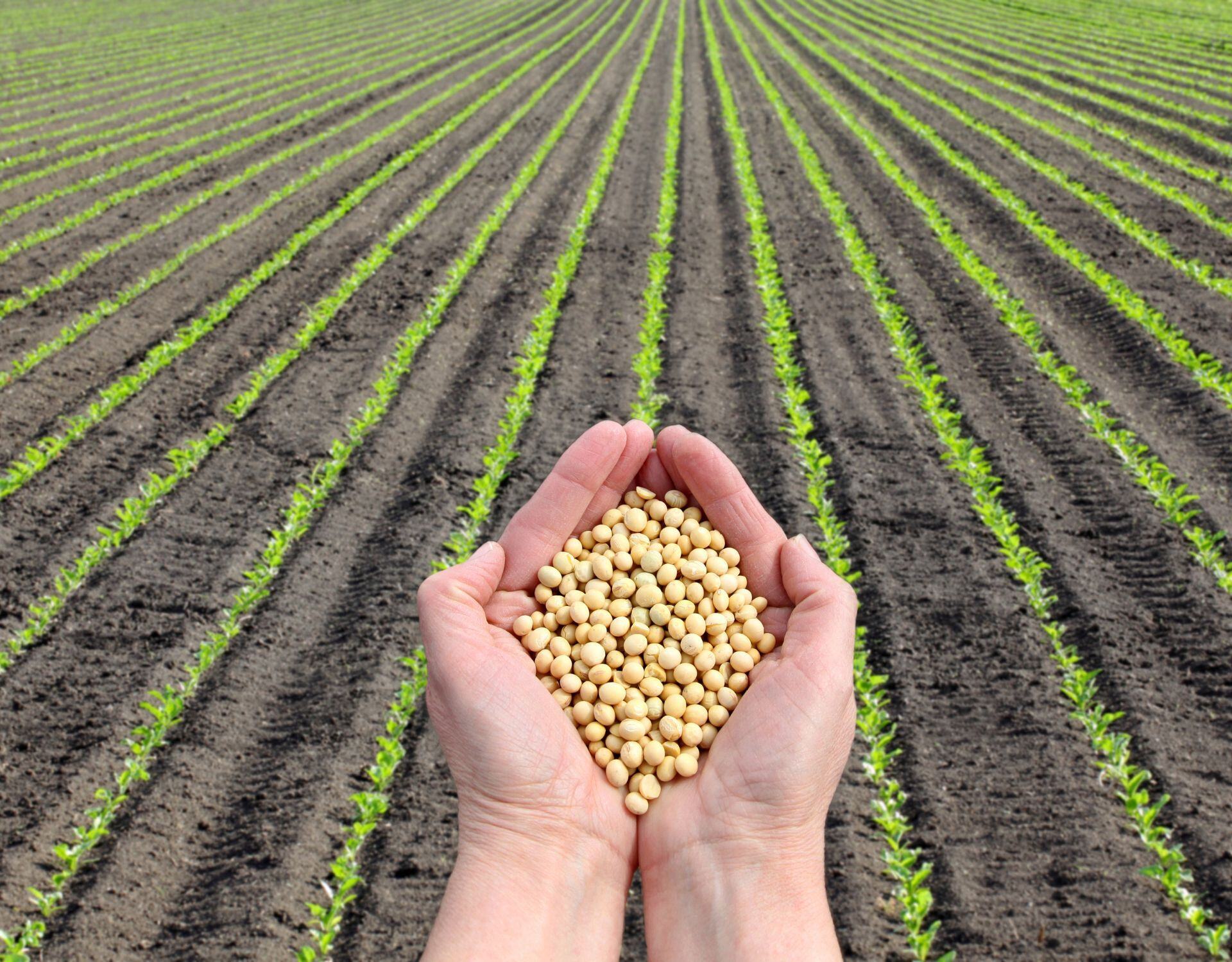 How Can You Assess the Impact on Soil Health and Biodiversity in Your Supply Chain?