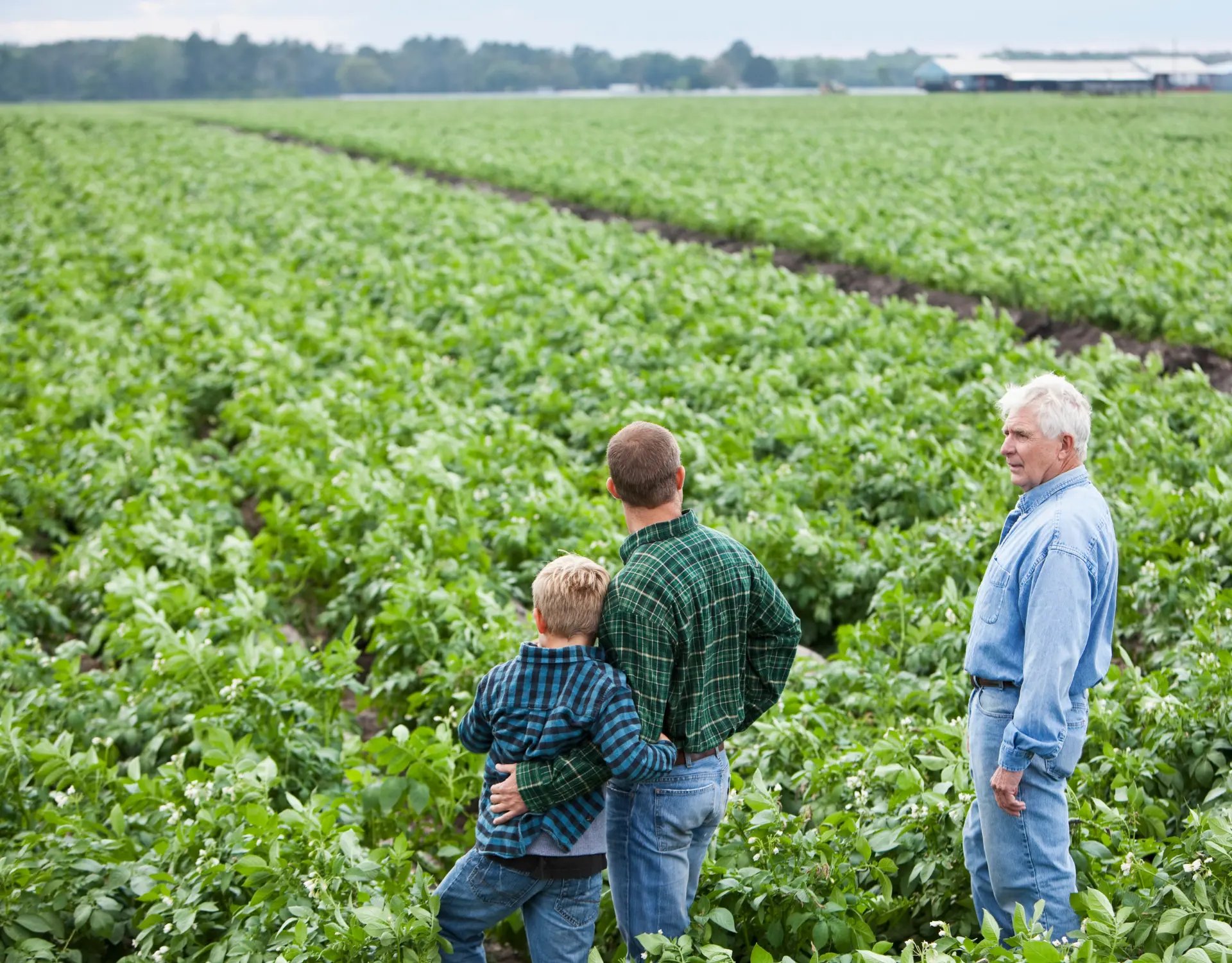 How Soil Health Impacts Farm Legacy and Profitability (1)