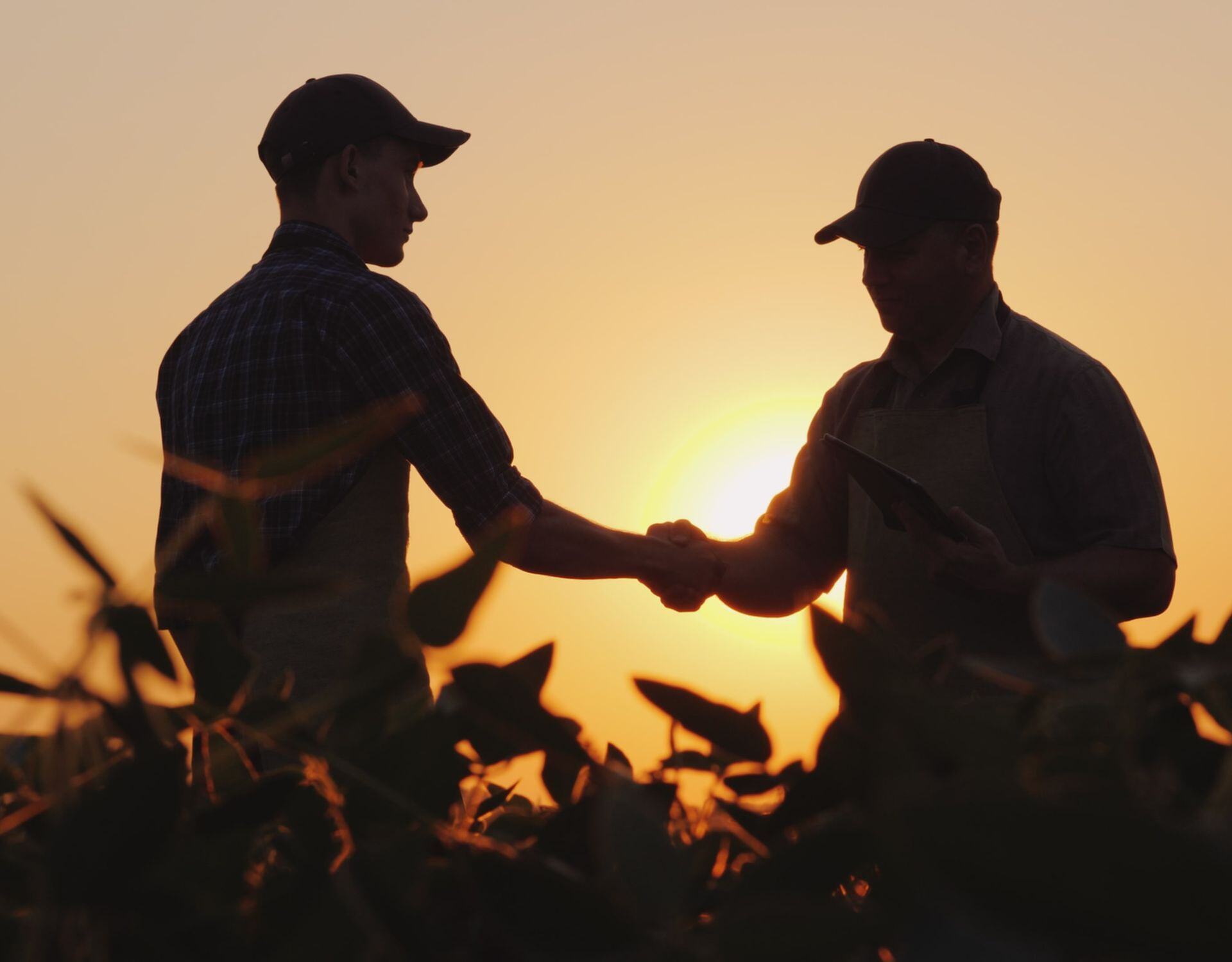 A Retailer's How-To for Using DNA Soil Testing