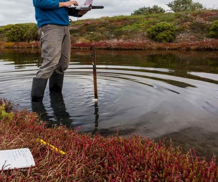 Glosario de salud del suelo