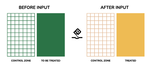 becrop-trials-sampling copy500px