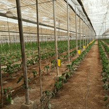 BeCrop Pruebas de Suelo