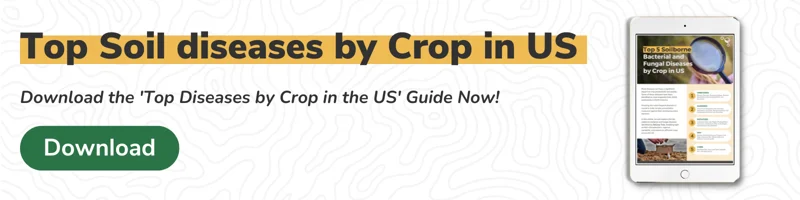 CTA - Top Soil Diseases by Crop in US-1